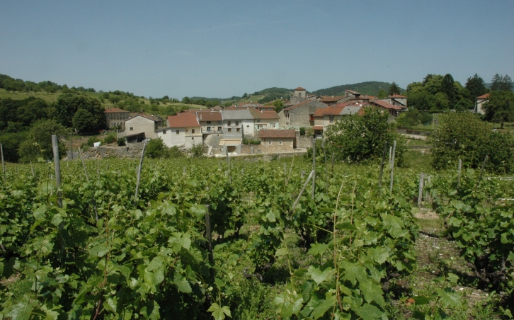Mérignat - Le village de Mérignat entouré de vignes - © M.CRIVELLARO