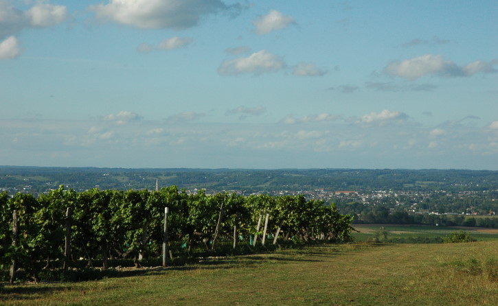Monbazillac bergerc au loin 4947