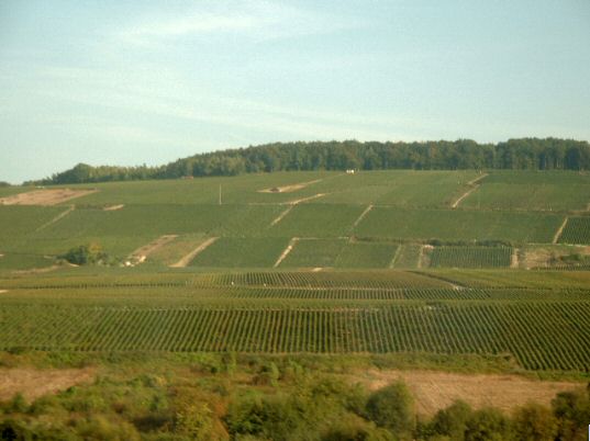 montagne de reims