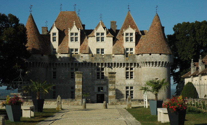 montbazillac gros plan_4935