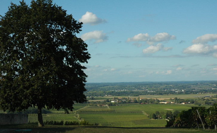 Montbazillac vue au loin_4937