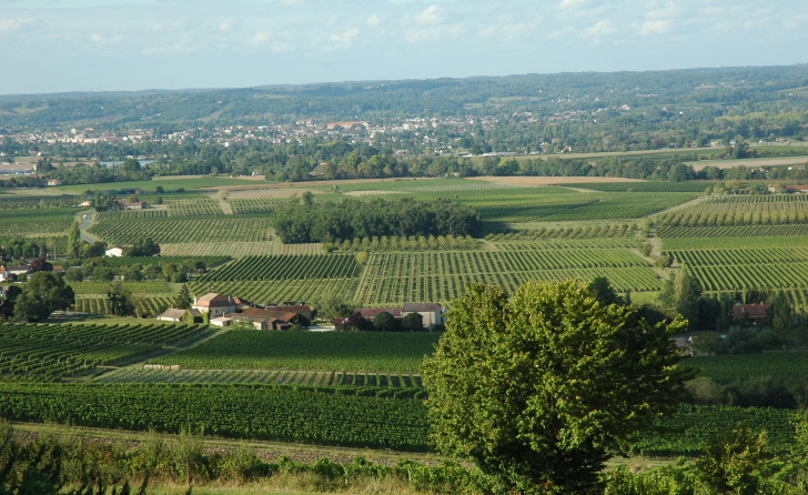 Montbazillac vue sur Brerac_4940