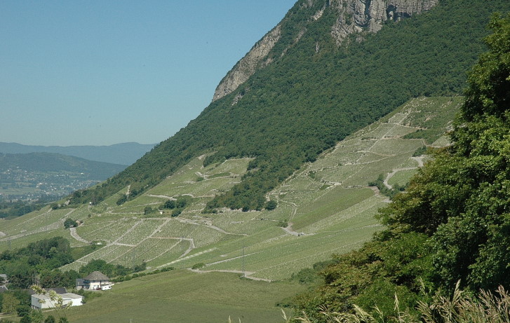 Montmélian - Vignobles du cru Montmélian sur les coteaux escarpés du massif des Bauges - © M.CRIVELLARO