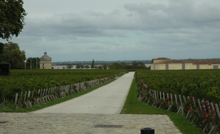 Pauillac - Château Latour - Premier Grand Cru Classé Photo Michel CRIVELLARO