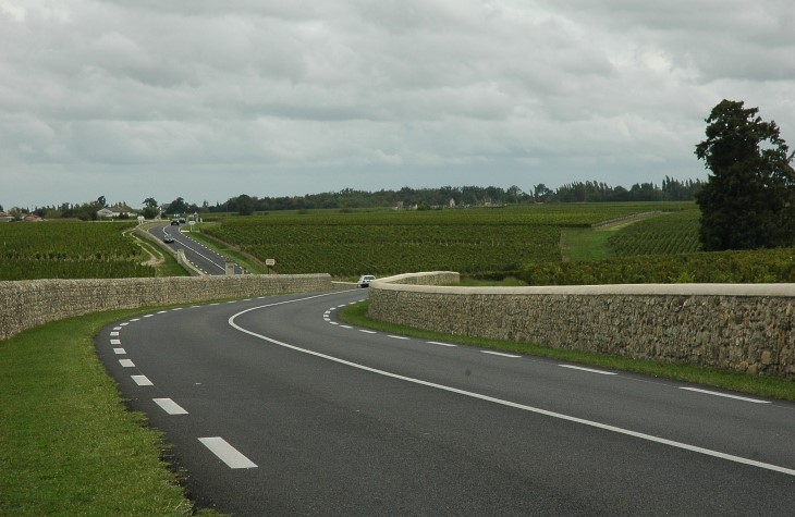 Pauillac - Vignes de Château Latour à gauche de la départementale N°2 et du Château Pichon-Longueville à droite - Photo Michel CRIVELLARO