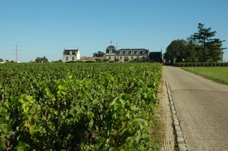 Pessac - Vignes devant le Château La Mission Haut-Brion - Photo Michel CRIVELLARO