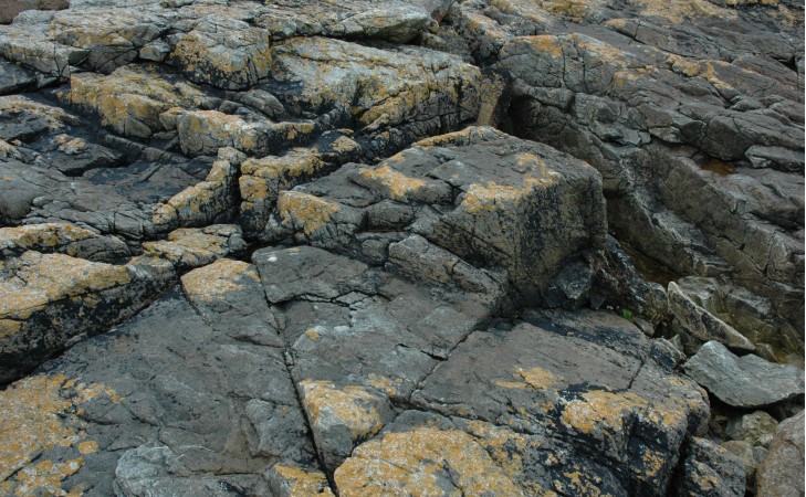 Ploumanac'h - Gros plan gneiss lités (Paragneiss 2 Ga) - Les plus vieilles roches de France - © M.CRIVELLARO