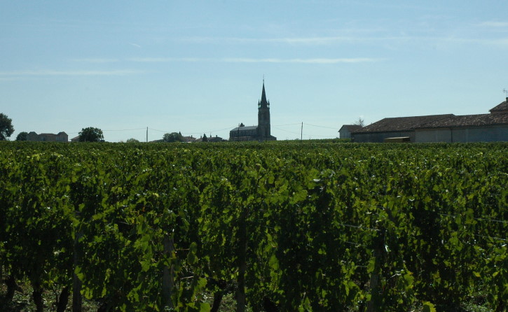 Pomerol - L'église de Pomerol sur le plateau au milieu des vignes - © M.CRIVELLARO