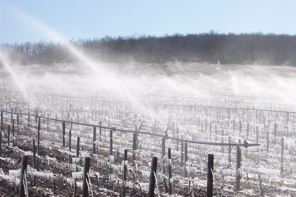 Projection d'eau - Photo Domaine Billaud-Simon  