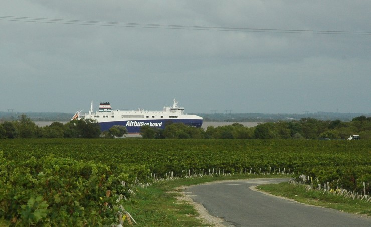 Saint-Estéphe - Le vignoble en bordure de Gironde - © M.CRIVELLARO