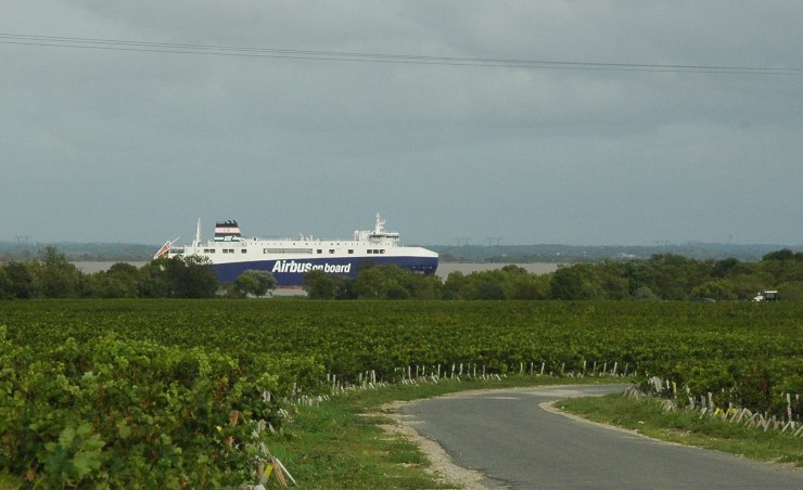 Saint-Estéphe - Le vignoble en bordure de Gironde. Photo Michel CRIVELLARO