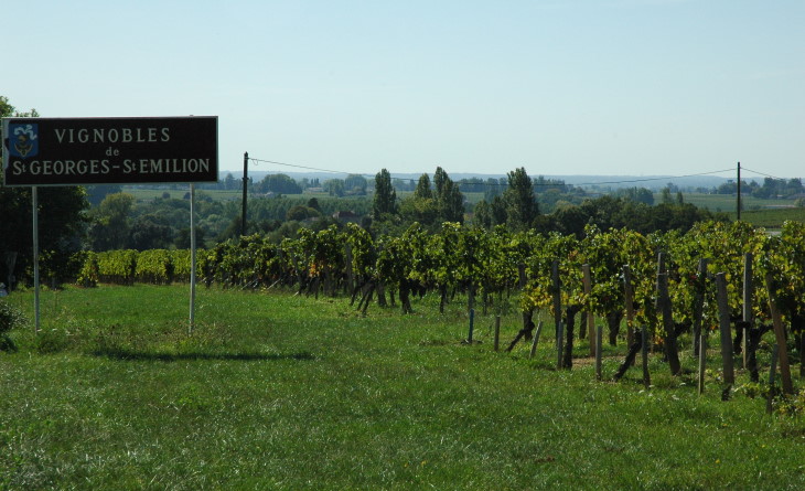 Saint-Georges-Saint-Emilion -  Vue du vignoble depuis le plateau - © M.CRIVELLARO
