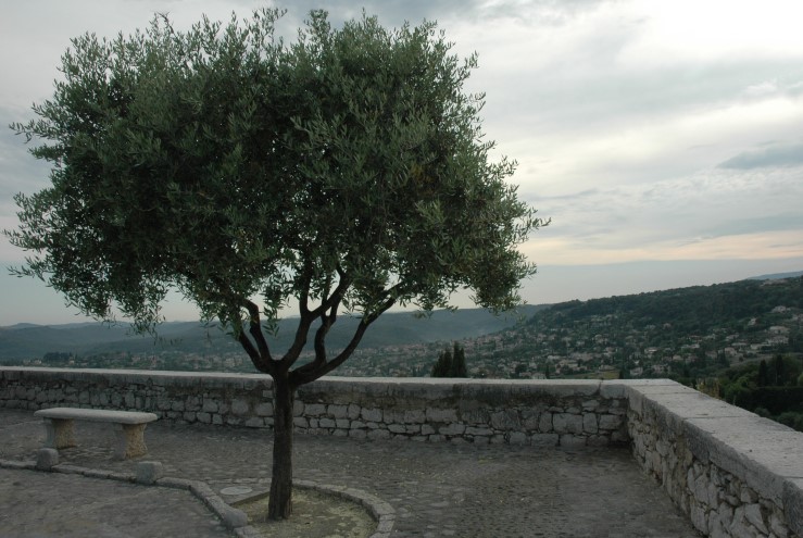 Saint-Paul, vue sur l’arrière pays provençal - Photo Michel CRIVELLARO