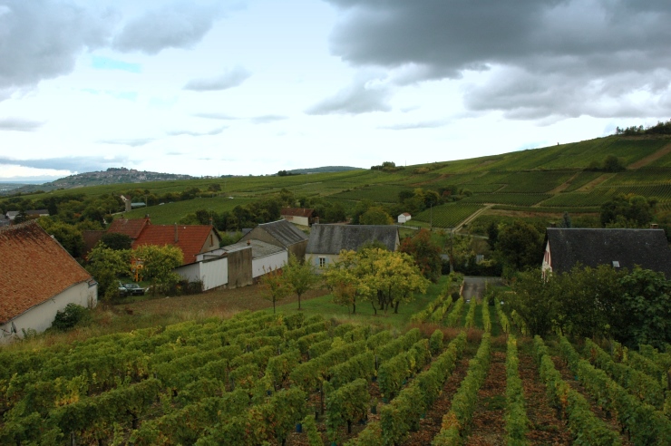 Sancerre vu de Chavignol - Vignoble de Sancerre - Photo Michel CRIVELLARO