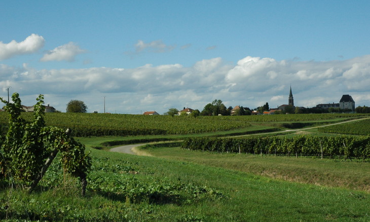 saussignac 4 _4927
