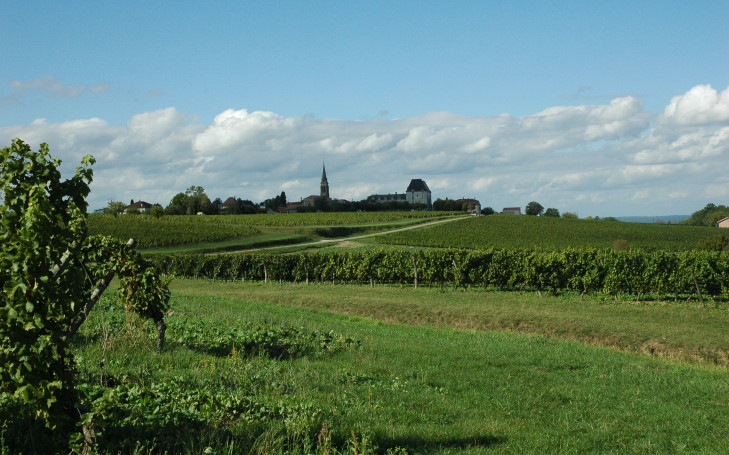 Saussignac large_4924