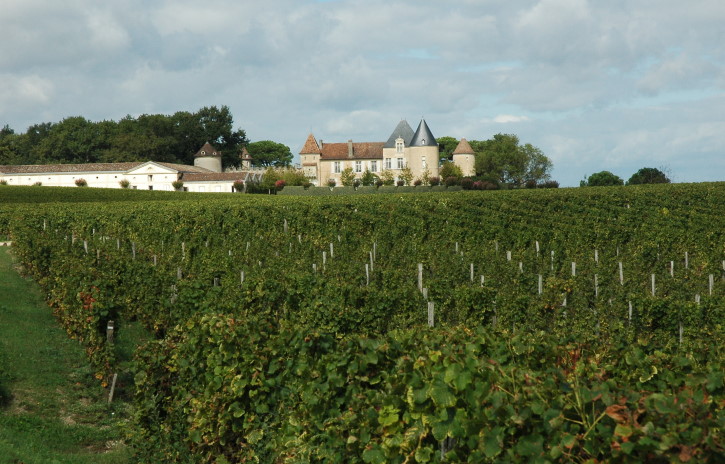 Sauternes - Vignoble du Château d'Yquem - Photo Michel CRIVELLARO
