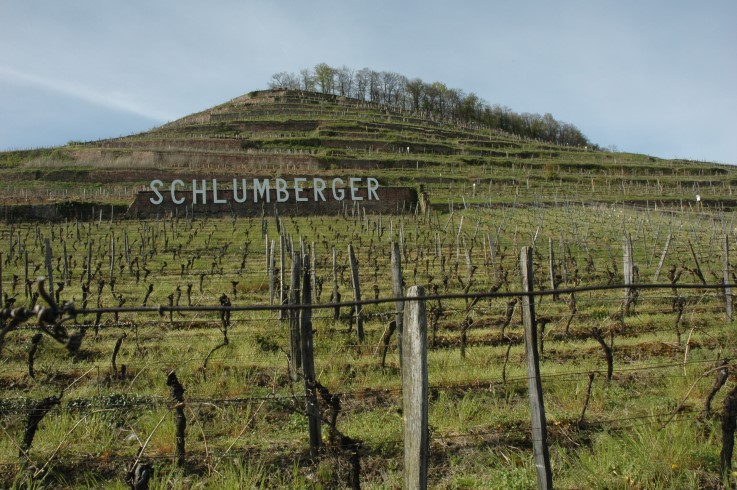 Guebwiller - Grand Cru Kitterlé - Domaines Schlumberger - Photo michel CRIVELLARO