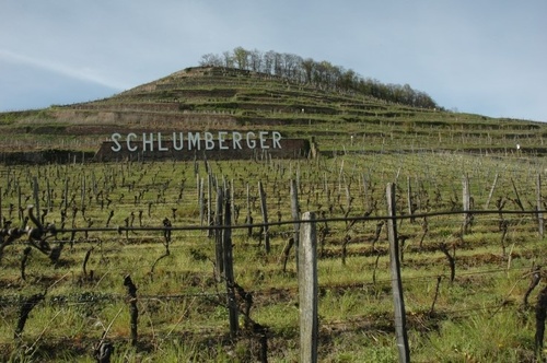 Guebwiller - Grand Cru Kitterlé - Domaines Schlumberger - Photo michel CRIVELLARO