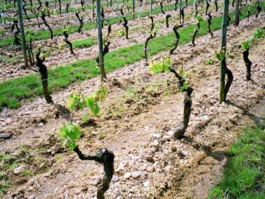 sol de clos gamot2