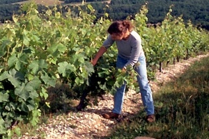 Domaine du Pech - Sainte Colombe en Bruilhois - 47310