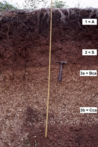 sol113