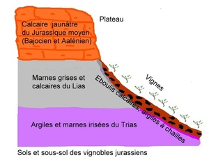 Sols et sous-sol des vignobles du Jura
