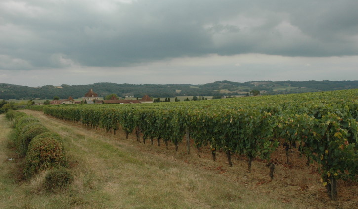 Un paysage de vignes et de coteaux encadrent Château Bouscassé-Montus.  © Marion CRIVELLARO