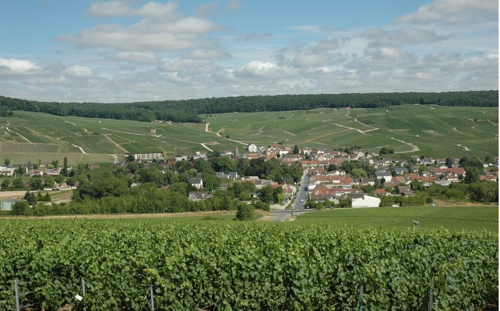 Vallée de la Marne - Rive gauche - Le vignoble autour du village de Pierry - © M.CRIVELLARO Vallée de la Marne - Rive gauche - Le vignoble autour du village de Pierry - © M.CRIVELLARO