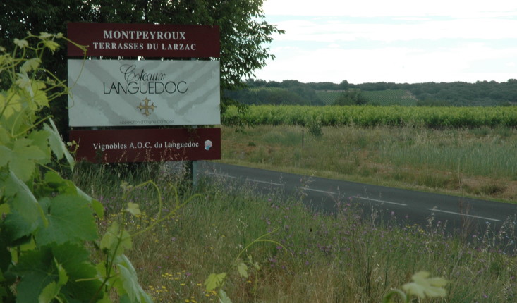 Vignoble A.O.C Languedoc - Montpeyroux - Pancarte - © M.CRIVELLARO Vignoble A.O.C Languedoc - Montpeyroux - Pancarte - © M.CRIVELLARO