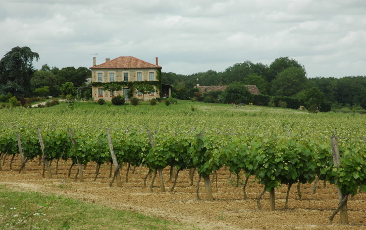 Vignoble de Fronton - Fabas - Maison dans les vignes , moyenne terrasse du Tarn - © M.CRIVELLARO
