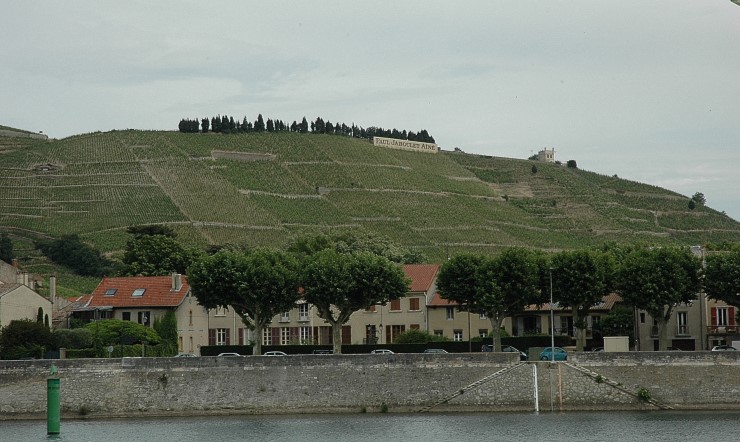 Vignoble de l'Hermitage - Photo Michel CRIVELLARO