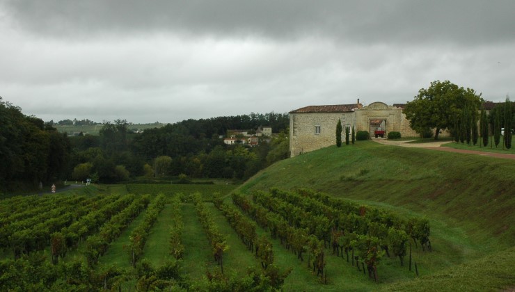 Vignoble des Côtes de Bourg à Thau.  Photo Michel CRIVELLARO
