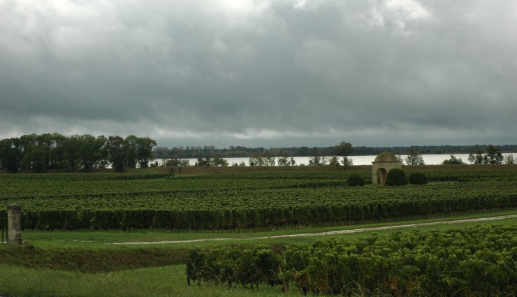 Vignoble des Côtes de Bourg du Château de Barbe en bordure de la Gironde, commune de Villeneuve. Photo Michel CRIVELLARO