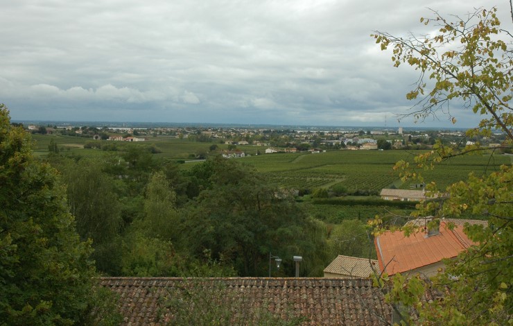 Vignoble du Blayais avec la Gironde au loin à proximité de Blaye. Photo Michel CRIVELLARO