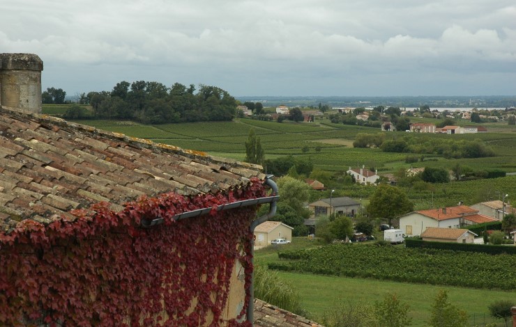 Vignoble du Blayais, vu des hauteurs du village de Cars, il s'étend jusqu'à la Garonne au loin. Photo Michel CRIVELLARO