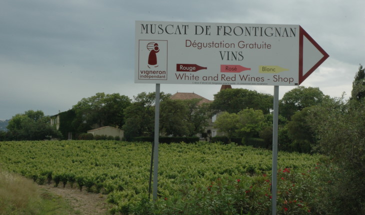 Vignoble Muscat de Frontignan - Pancarte - © M.CRIVELLARO Vignoble Muscat de Frontignan - Pancarte - © M.CRIVELLARO