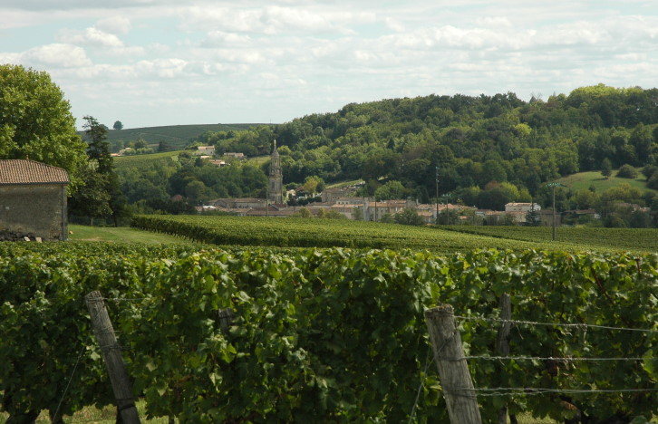 Vignoble proche de Sainte-Croix-du-Mont -  © M.CRIVELLARO