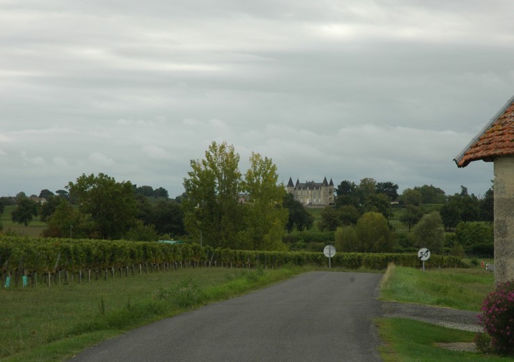 Vignobles de Blaye à proximité de Saint-Ciers-sur-Gironde - Photo Michel CRIVELLARO