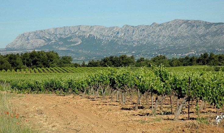 Vignobles des Côtes de Provence à Pourrières - Photo Adrien CRIVELLARO