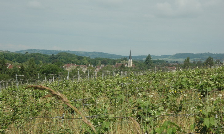 Voiteur - Village et vignobles des Côtes du Jura.  © M.CRIVELLARO