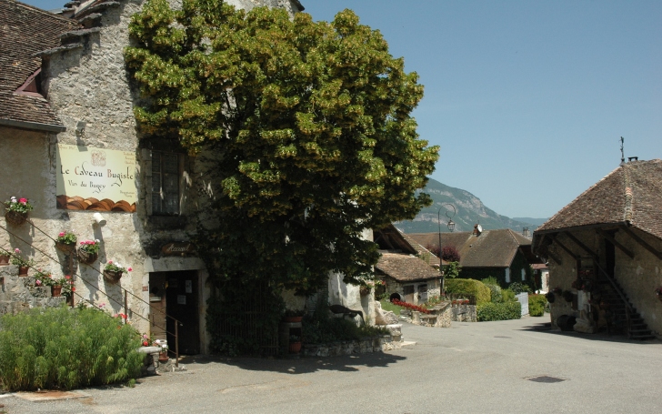 Vongnes - Le village médiéval de Vongnes depuis l'entrée du Caveau Bugiste - © M.CRIVELLARO