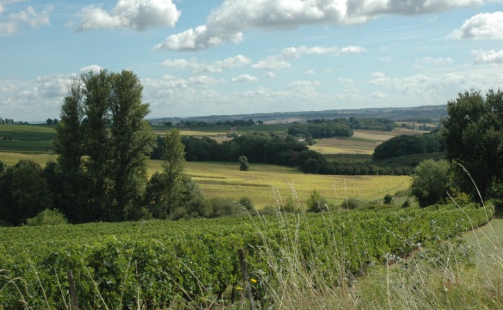 Xaintrailles -Du village, vue sur la vallée de la Garonne - © Marion CRIVELLARO
