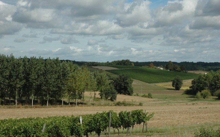 Xaintrailles -Les vignobles sont dispersés en ilots plus ou moins grands dans un paysage de polyculture - © Marion CRIVELLARO