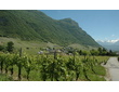 Les vignobles de la Cluse de Chambéry et de la Combe de Savoie.