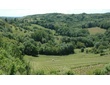 Les vignobles du Bugey : de Cerdon à Belley.