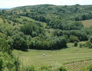 Les vignobles du Bugey : de Cerdon à Belley.