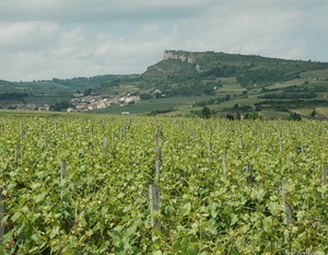 Davayé - Vue vers le village de Solutré-Pouilly et la Roche de Solutré 