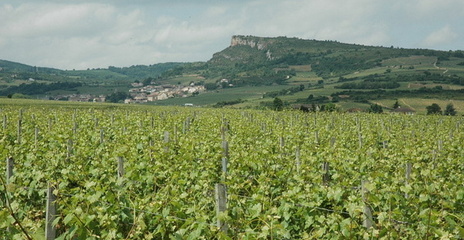 Davayé - Vue vers le village de Solutré-Pouilly et la Roche de Solutré Davayé - Vue vers le village de Solutré-Pouilly et la Roche de Solutré