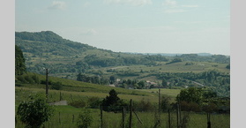 Jura - vignoble de Château-Chalon